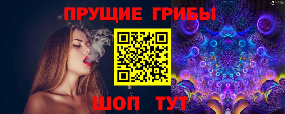 Майкоп  Псилоцибиновые грибы прущие грибы  Вход с VPN 